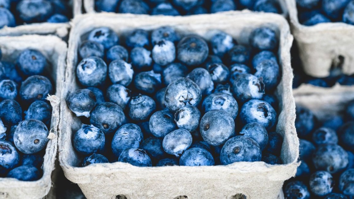 Grow blueberries with more antioxidants in the body
